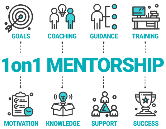 Mentor 1 to 1